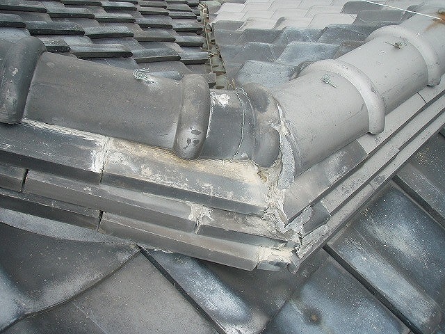 屋根点検も承っております